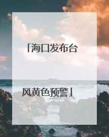 海口发布台风黄色预警