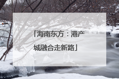 海南东方：港产城融合走新路