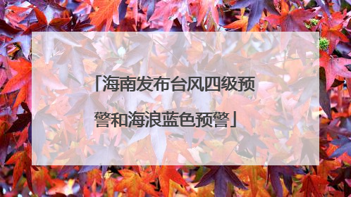 海南发布台风四级预警和海浪蓝色预警