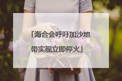 海合会呼吁加沙地带实现立即停火