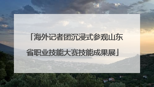 海外记者团沉浸式参观山东省职业技能大赛技能成果展