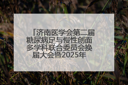 济南医学会第二届糖尿病足与慢性创面多学科联合委员会换届大会暨2025年学术年会成功举行