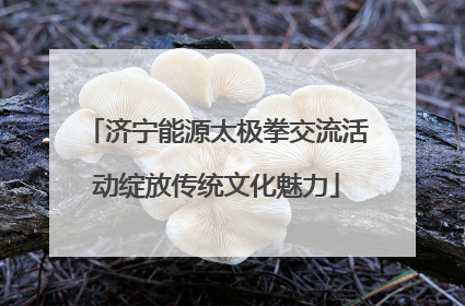 济宁能源太极拳交流活动绽放传统文化魅力