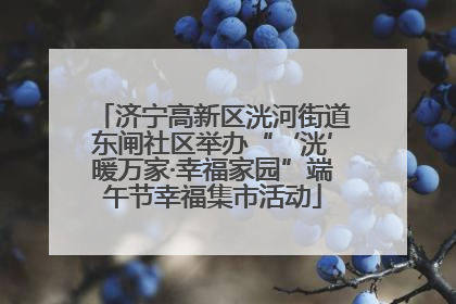 济宁高新区洸河街道东闸社区举办“‘洸’暖万家·幸福家园”端午节幸福集市活动