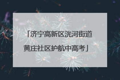 济宁高新区洸河街道黄庄社区护航中高考