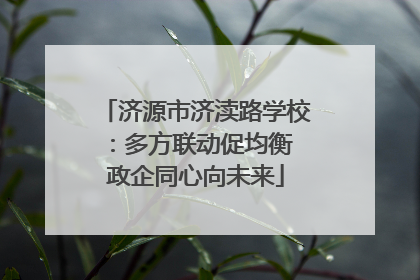 济源市济渎路学校：多方联动促均衡 政企同心向未来