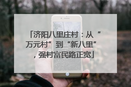 济阳八里庄村：从“万元村”到“新八里”，强村富民路正宽