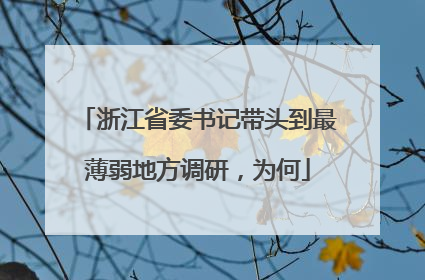 浙江省委书记带头到最薄弱地方调研，为何