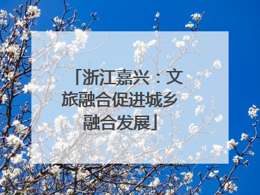 浙江嘉兴：文旅融合促进城乡融合发展