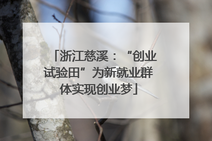 浙江慈溪：“创业试验田”为新就业群体实现创业梦