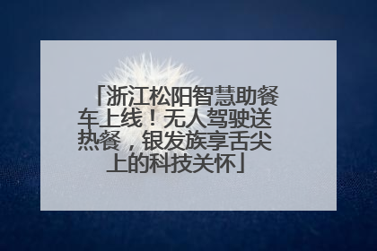 浙江松阳智慧助餐车上线！无人驾驶送热餐，银发族享舌尖上的科技关怀