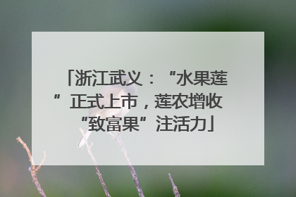 浙江武义：“水果莲”正式上市，莲农增收“致富果”注活力