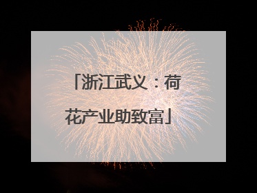 浙江武义：荷花产业助致富
