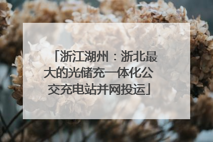 浙江湖州：浙北最大的光储充一体化公交充电站并网投运