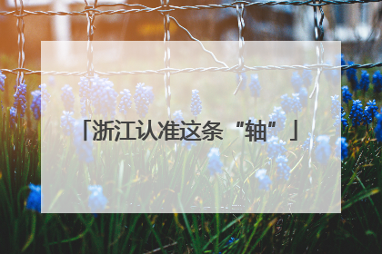 浙江认准这条“轴”