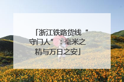 浙江铁路货线“守门人”：毫米之精与万日之安