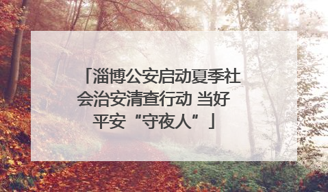 淄博公安启动夏季社会治安清查行动 当好平安“守夜人”