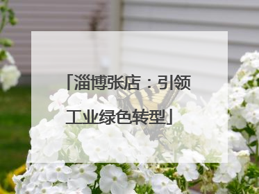 淄博张店：引领工业绿色转型