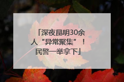 深夜昆明30余人“异常聚集”！民警一举拿下