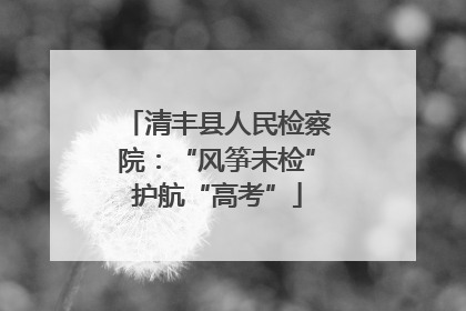 清丰县人民检察院：“风筝未检”护航“高考”
