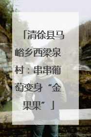 清徐县马峪乡西梁泉村：串串葡萄变身“金果果”