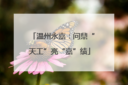 温州永嘉：问鼎“天工”亮“嘉”绩