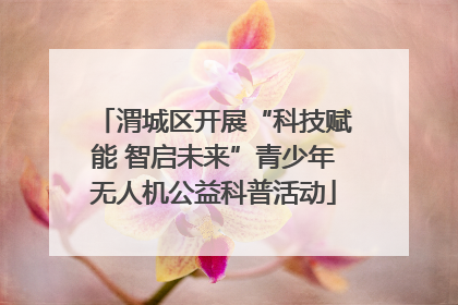 渭城区开展“科技赋能 智启未来”青少年无人机公益科普活动