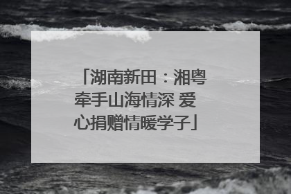 湖南新田：湘粤牵手山海情深 爱心捐赠情暖学子
