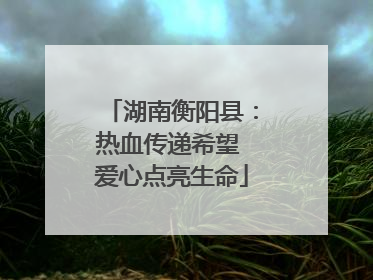 湖南衡阳县：热血传递希望 爱心点亮生命