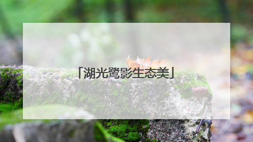 湖光鹭影生态美