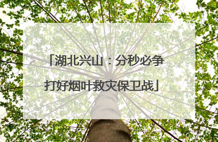 湖北兴山：分秒必争 打好烟叶救灾保卫战