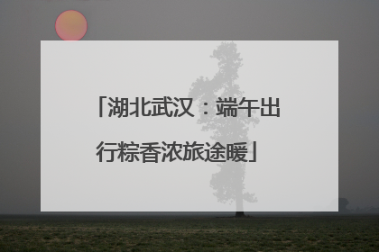 湖北武汉：端午出行粽香浓旅途暖