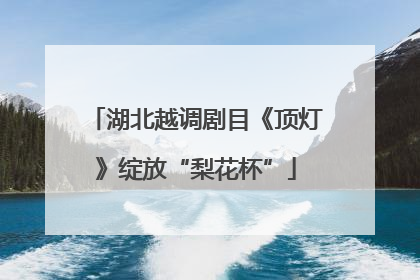 湖北越调剧目《顶灯》绽放“梨花杯”