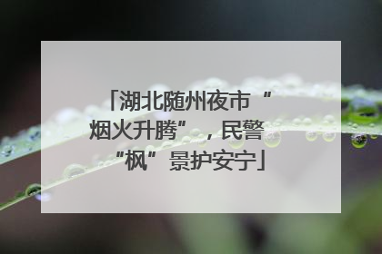 湖北随州夜市“烟火升腾”，民警“枫”景护安宁