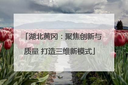 湖北黄冈：聚焦创新与质量 打造三维新模式