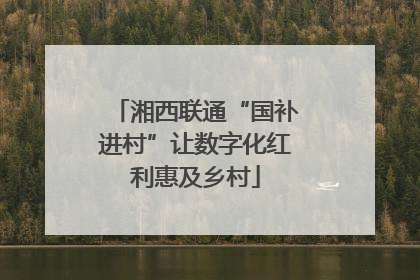 湘西联通“国补进村”让数字化红利惠及乡村