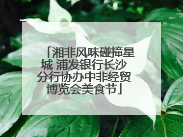 湘非风味碰撞星城 浦发银行长沙分行协办中非经贸博览会美食节