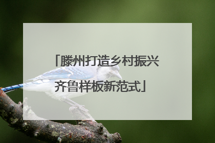 滕州打造乡村振兴齐鲁样板新范式
