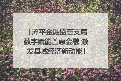 漳平金融监管支局：数字赋能普惠金融 激发县域经济新动能
