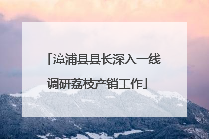 漳浦县县长深入一线调研荔枝产销工作