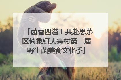 菌香四溢！共赴思茅区倚象镇大寨村第二届野生菌美食文化季