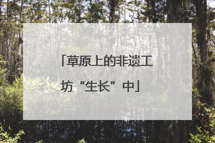 草原上的非遗工坊“生长”中