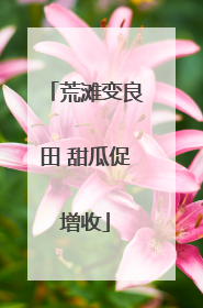 荒滩变良田 甜瓜促增收