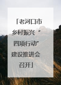 老河口市乡村振兴“四项行动”建设推进会召开