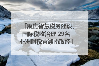 聚焦智慧税务建设、国际税收治理 29名非洲财税官湖南取经