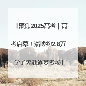聚焦2025高考｜高考启幕！淄博约2.8万学子奔赴逐梦考场