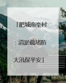 肥城南栾村：清淤疏堵防大汛保平安