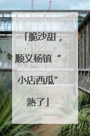 脆沙甜，顺义杨镇“小店西瓜”熟了
