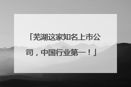 芜湖这家知名上市公司，中国行业第一！
