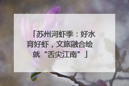 苏州河虾季：好水育好虾，文旅融合绘就“舌尖江南”